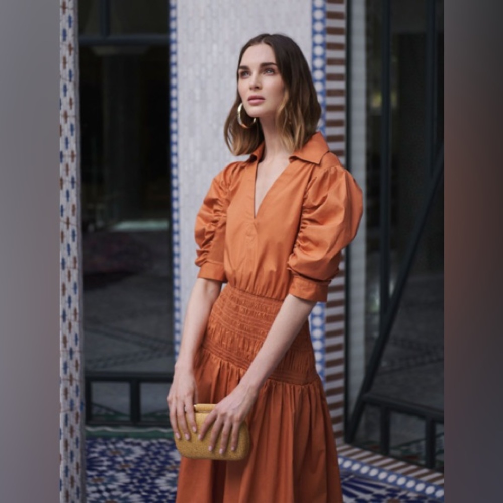 BCBGMAXAZRIA Puff Sleeve Dress In Sienna 2 piece